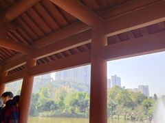 -龙头寺公园