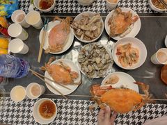 -星光岛