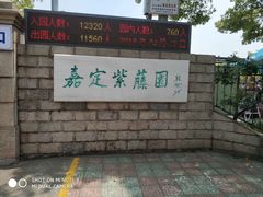 -嘉定紫藤园