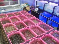水产区-众味海鲜大排档·活海鲜·潮汕味(南澳店)