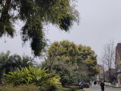 -成都南湖公园
