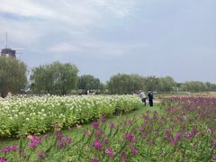 -漩门湾国家湿地公园