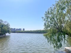 -北陵公园