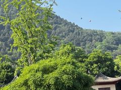 -华清宫景区