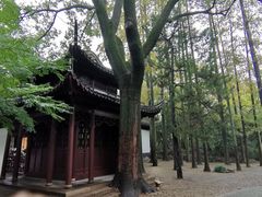 -汇龙潭