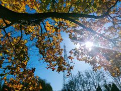 -永定河休闲森林公园