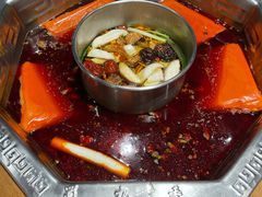 -蜀九香火锅(九眼桥店)