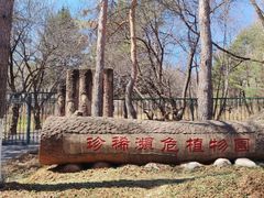 -黑龙江省森林植物园
