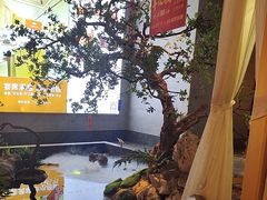 -小厨娘淮扬菜(龙湾天街店)