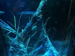 -沈阳海洋探索中心