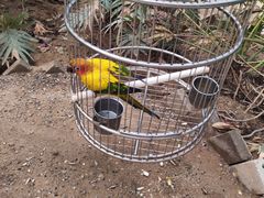 -南宫五洲植物乐园