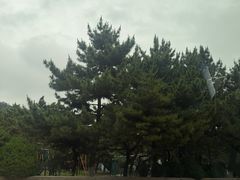-石岛赤山风景区