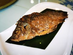 -东方饺子王(新阳路店)