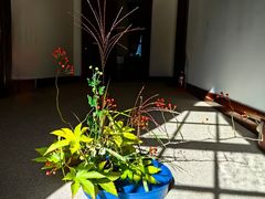 -宋宴(虎跑店)