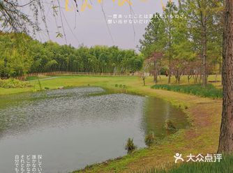 原来上海除了佘山还有座辰山，这是我前日去过辰山植物园