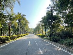 -福建鲤鱼洲酒店