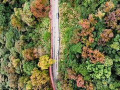 -广州市石门国家森林公园