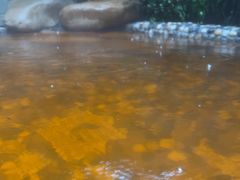 -天目湖涵田半山温泉
