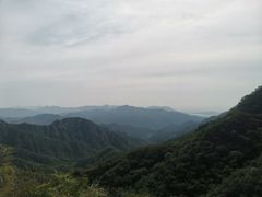 -大岭沟猕猴桃谷风景区
