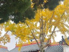 -南岳大庙