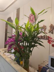 -金美秀瘦身养生