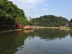 -广州市帽峰山景区