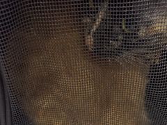 -pd派德宠物中心医院24H急重症·眼科中心·血液透析中心(嵩山北路店)