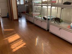 -宠爱多约克夏马尔济斯泰迪小型犬专卖