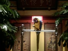 android_upload_pic-那家小馆•北京菜•烤鸭(中关村店)