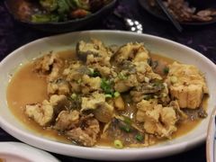 -浩运·海鲜青岛菜·海胆水饺(石老人店)