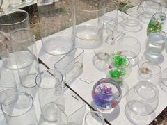 -李村大集