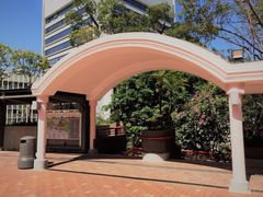 -香港大学