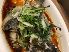 -永記粤菜·五指毛桃花雕鸡煲(九亭店)