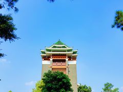 -王借岗森林公园