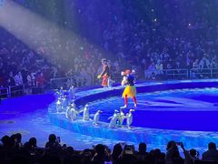 -珠海横琴长隆《卡卡虎奇遇记》