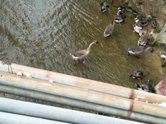 -邹记·美食(斗门店)