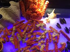 -广州花园酒店-凌璇阁360度高空海鲜自助餐CAROUSEL