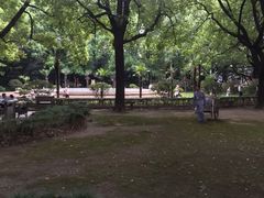 -上海交通大学医学院附属瑞金医院(总院)