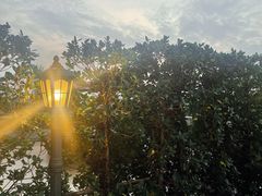 -欢乐海岸美食联盟