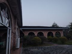 -田野绿世界