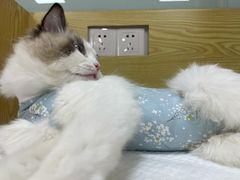 -中农大我爱我爱动物医院·核磁CT·猫病·24小时夜诊中心(石佛营店)