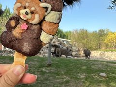 -北京野生动物园