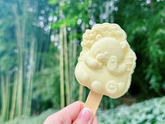-成都大熊猫繁育研究基地