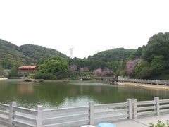 -广州市帽峰山景区