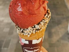 -哈根达斯(石家庄北国店)
