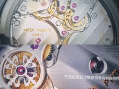 -Patek Philippe百达翡丽(上海源邸店)