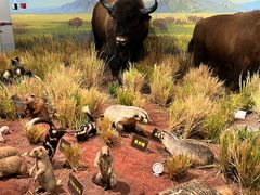 -陕西自然博物馆