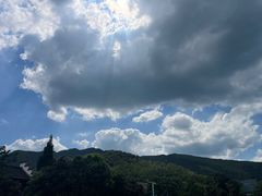 -同里国家湿地公园