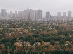 -重庆医科大学附属第一医院(金山院区)