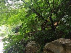 -天目湖涵田度假村